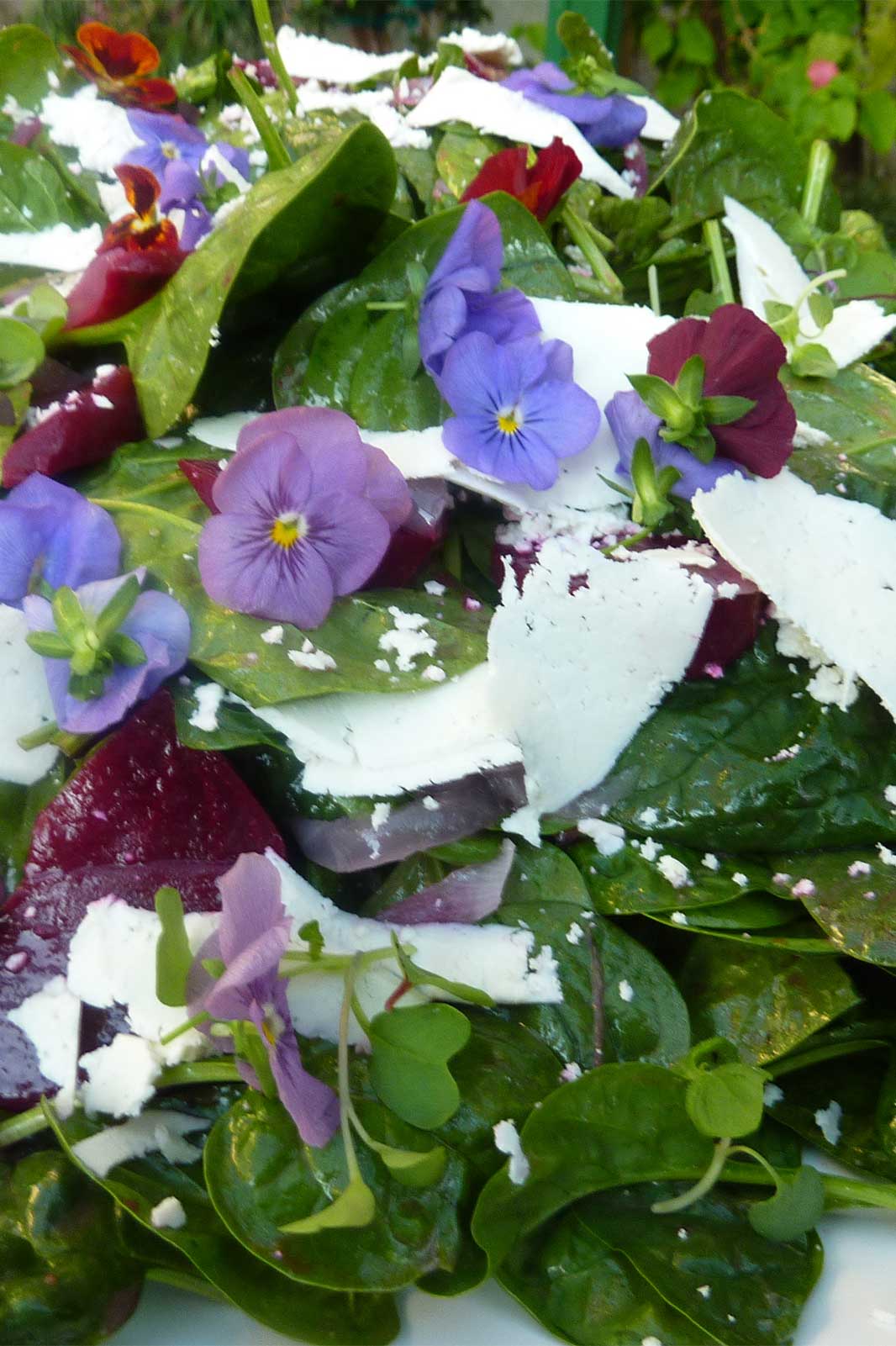 Beet Spinach Salad with flowers